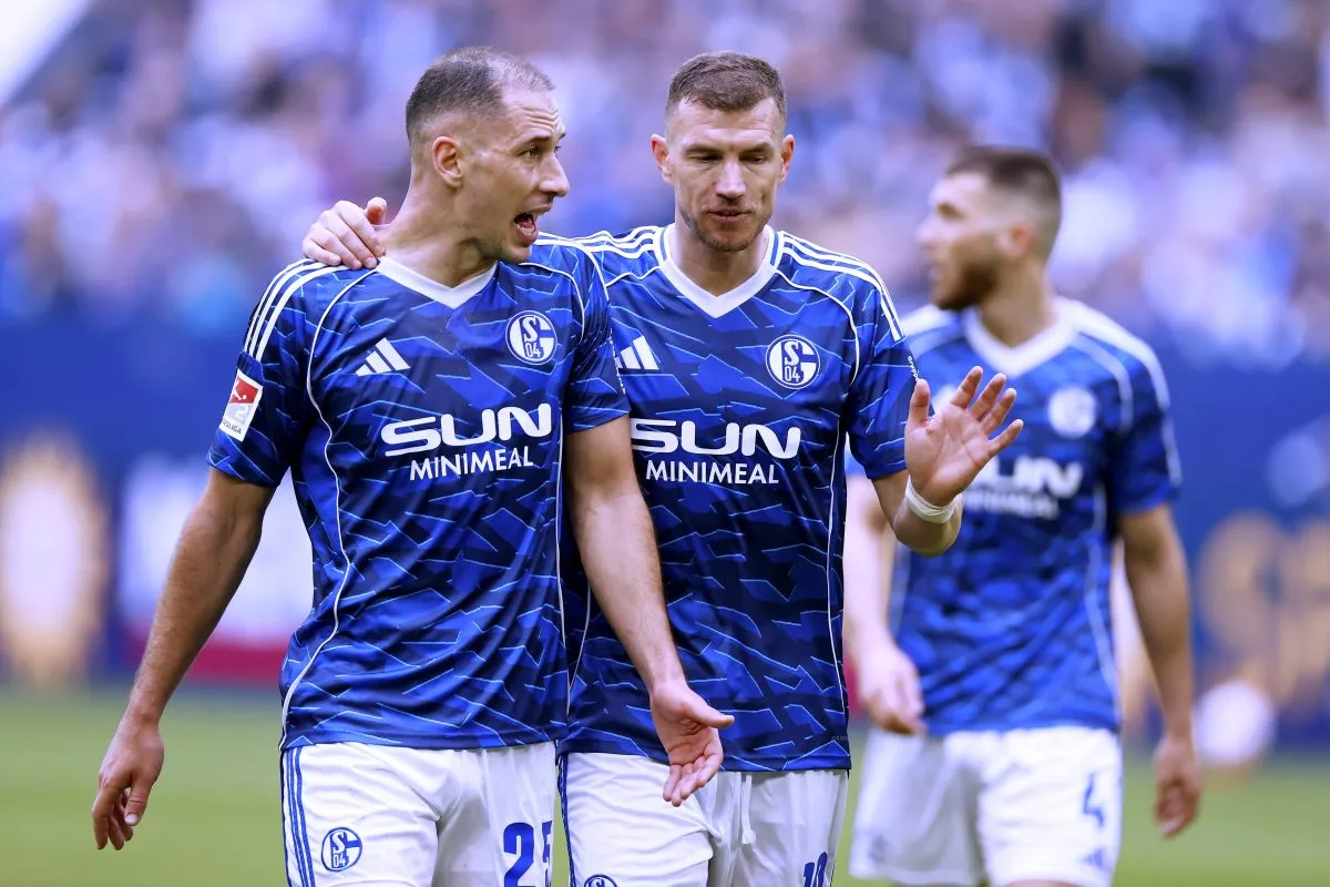 Dzeko und Katic träumen von der WM: Darum fiebert auch Schalke 04 mit