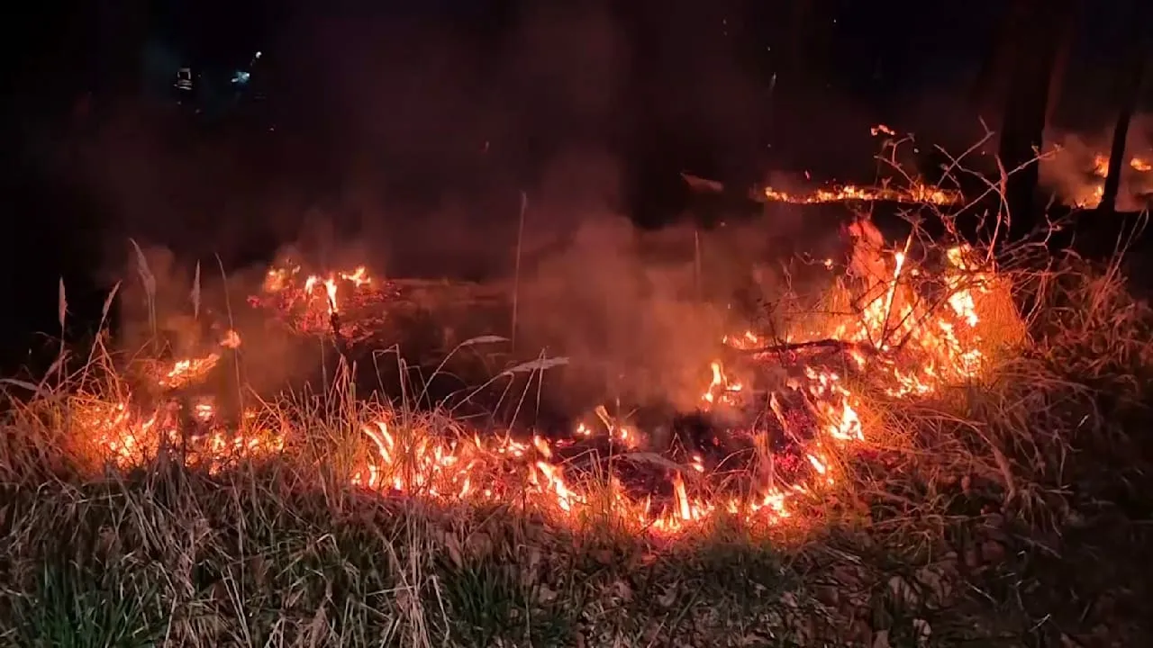 Bei Kloster Lehnin - Waldbrand in Brandenburg