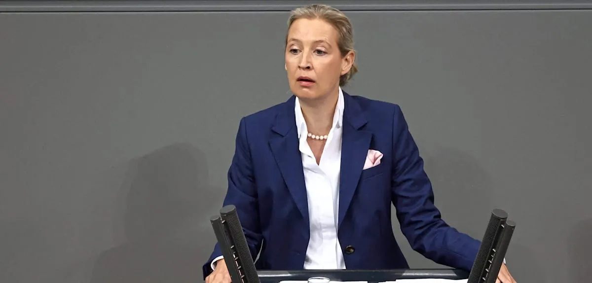 „Schauen Sie, wie sehr das Alice Weidel aus dem Konzept bringt“, sagt der SPD-Abgeordnete