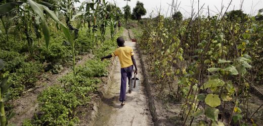 Unesco-Weltbildungsbericht: 273 Millionen Kinder haben keinen Zugang zu Bildung