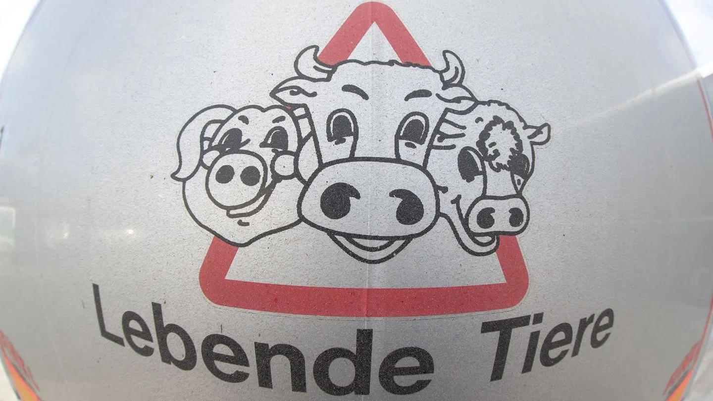 Sicherheit nicht gewährleistet: Ministerium verbietet Tiertransporte in Kriegsregionen