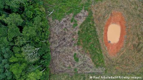 Vom Geschäft, die Natur zu retten
