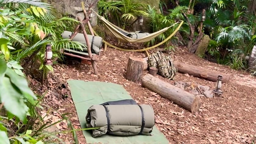 Deckname „Snake Rock“ - Dschungel-Revolution! Es gibt zwei Camps