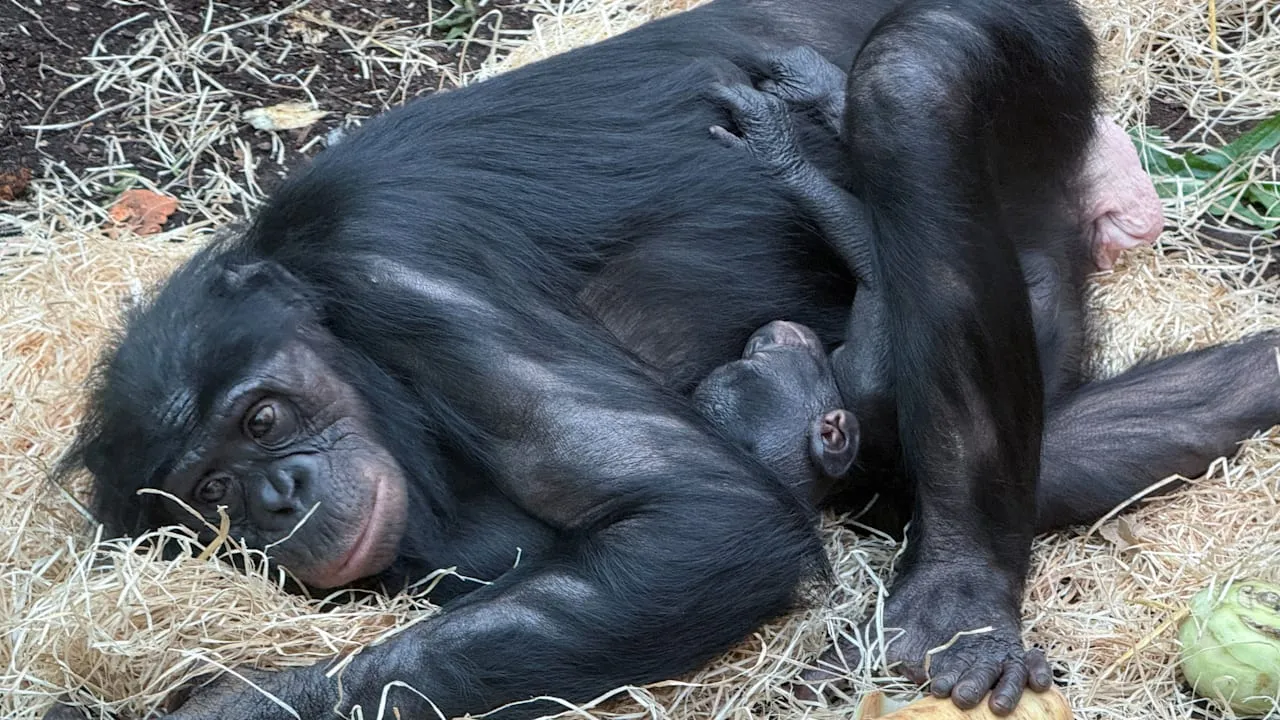 22. Januar 2026 - Der Donnerstag in Bildern