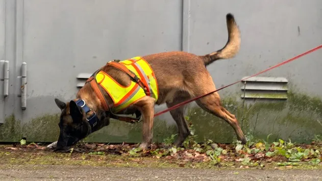 POL-GE: Erfolgreicher Einsatz - Personenspürhund feiert ersten Erfolg