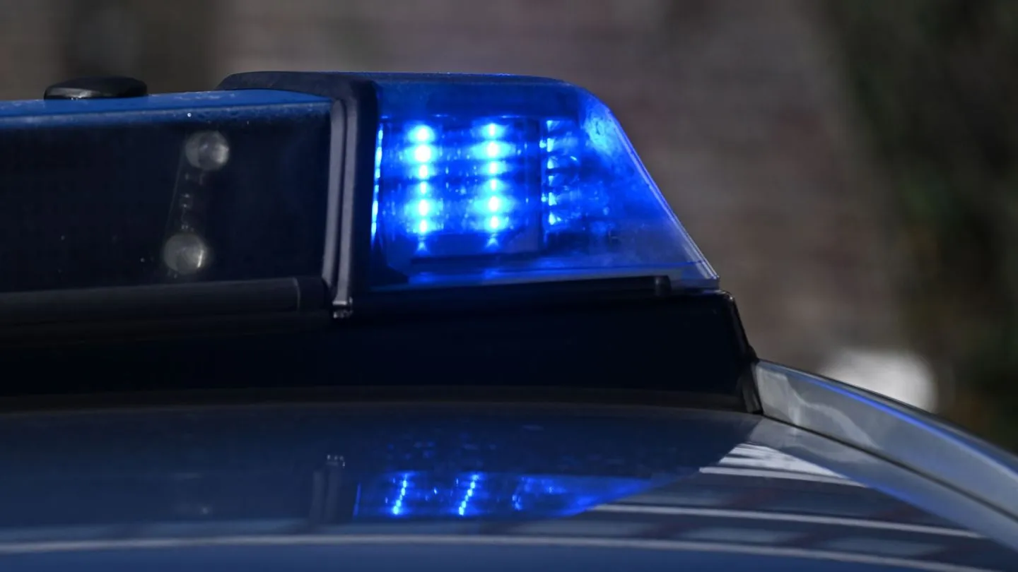 Insekt im Auto: Frau ekelt sich vor Spinne und fährt gegen Mauer