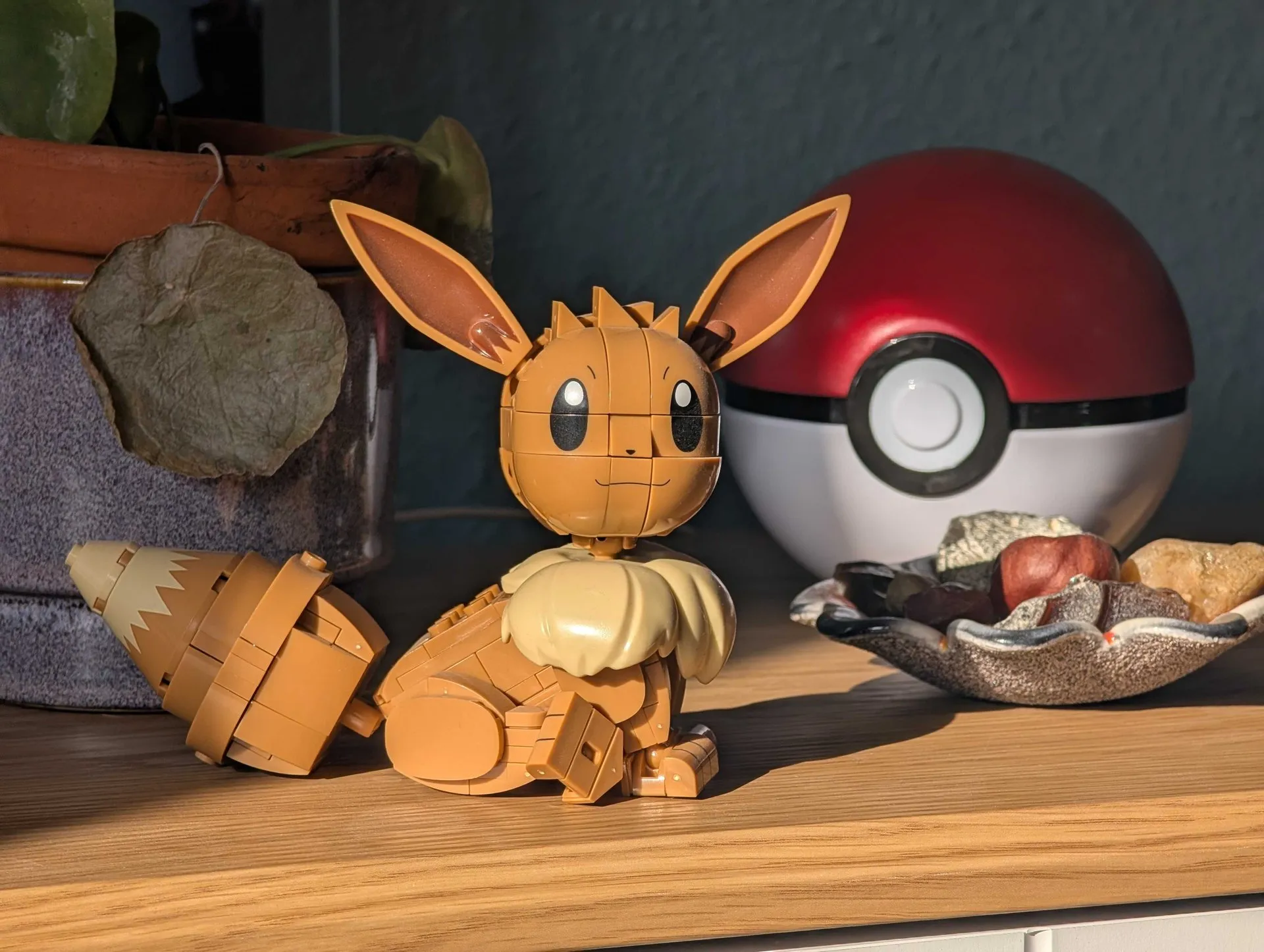 Pokémon Evoli vom Hersteller Mega auf einem Tisch vor einem Pokéball.