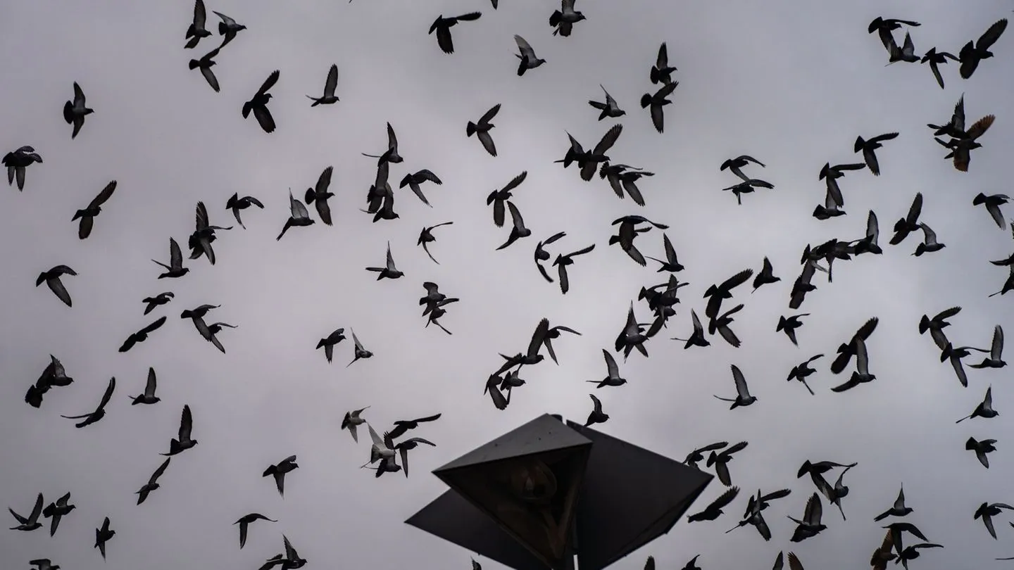Wetteraussichten: Wolken und Regenschauer zum Wochenstart in Hessen