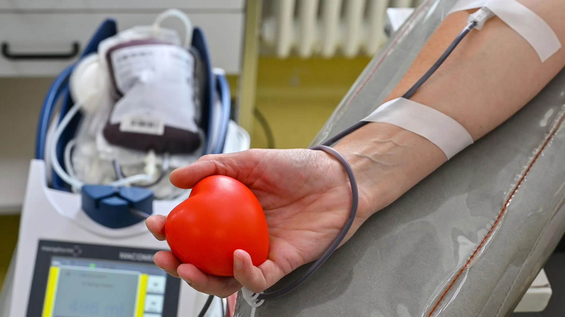 Rotes Kreuz ruft jüngere Menschen zur Blutspende auf